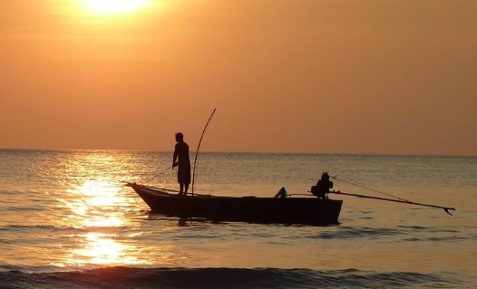 Hacia una pesca sostenible que garantice la alimentación y la protección de los océanos Hacia una pesca sostenible que garantice la alimentación y la protección de los océanos