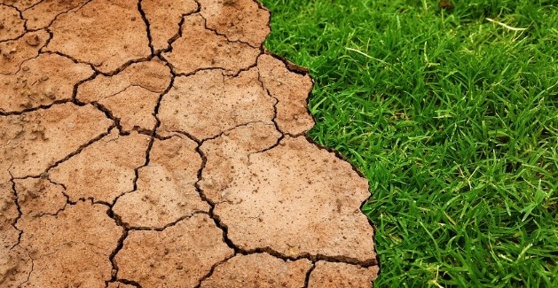 Cerca del 70% de los españoles considera que la crisis climática puede ser revertida Cerca del 70% de los españoles considera que la crisis climática puede ser revertida