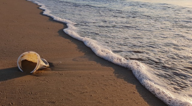 La Asociación "Paisaje Limpio" publica una guía de buenas prácticas ambientales en playas La Asociación "Paisaje Limpio" publica una guía de buenas prácticas ambientales en playas