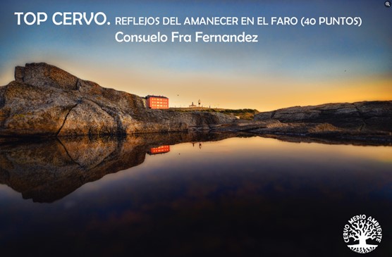 Entregados los premios del XII Concurso Fotográfico de Medio Ambiente “Cervo Respecta 2022” Entregados los premios del XII Concurso Fotográfico de Medio Ambiente “Cervo Respecta 2022”