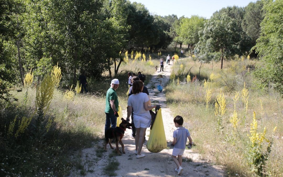 La tercera edición de 1m2 por la Naturaleza se salda con la recogida de 83 toneladas de residuos