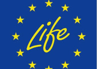 La convocatoria de proyectos LIFE 2020 introduce modificaciones enmarcadas en la crisis del COVID-19 La convocatoria de proyectos LIFE 2020 introduce modificaciones enmarcadas en la crisis del COVID-19