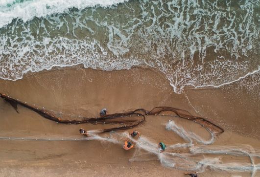 Fin del proyecto RepescaPlas con la definición de un sistema de valorización de plásticos marinos