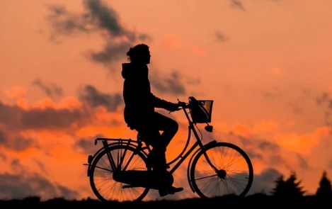 Proteger el medio ambiente, esencial para una vida saludable Proteger el medio ambiente, esencial para una vida saludable