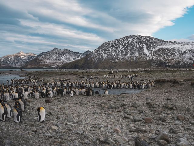 Un nuevo informe de la ONU alerta sobre la preocupante pérdida de biodiversidad en el mundo Un nuevo informe de la ONU alerta sobre la preocupante pérdida de biodiversidad en el mundo