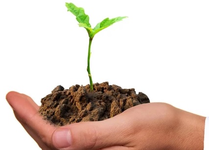 El reciclaje de la materia orgánica llega en Cedeira a 30 nuevas viviendas El reciclaje de la materia orgánica llega en Cedeira a 30 nuevas viviendas