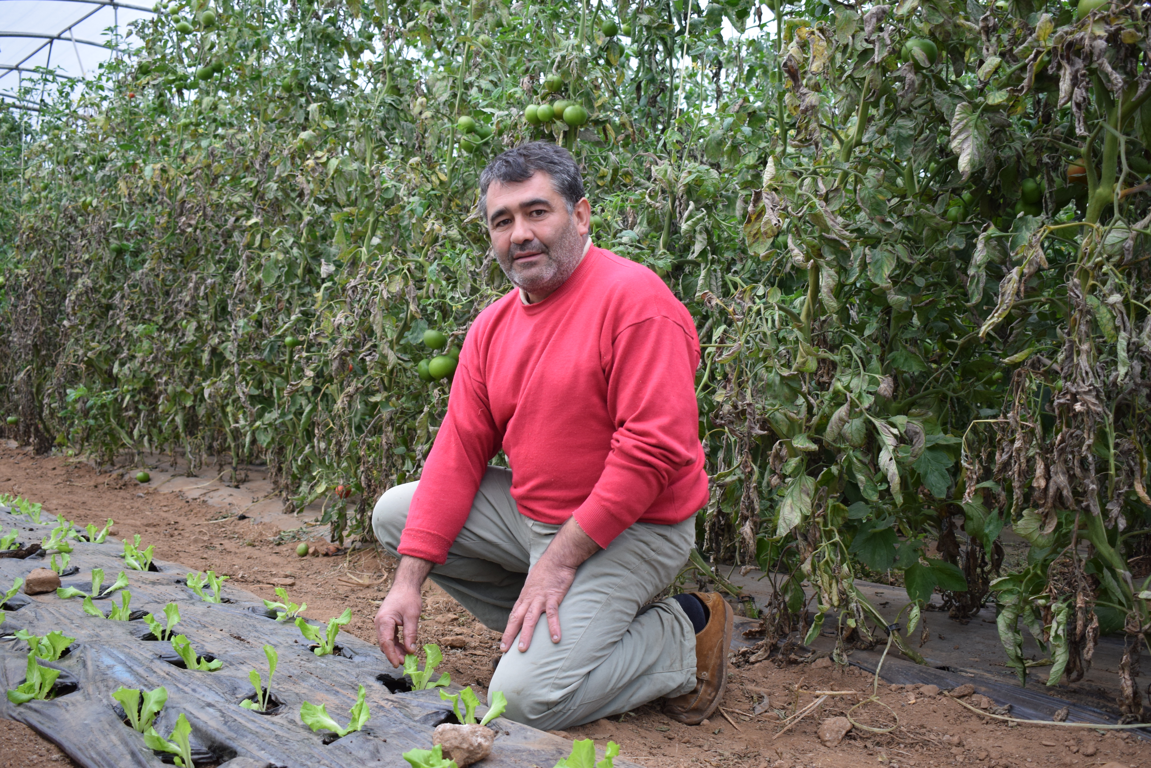“Consumir ecológico significa compromiso con la sostenibilidad”