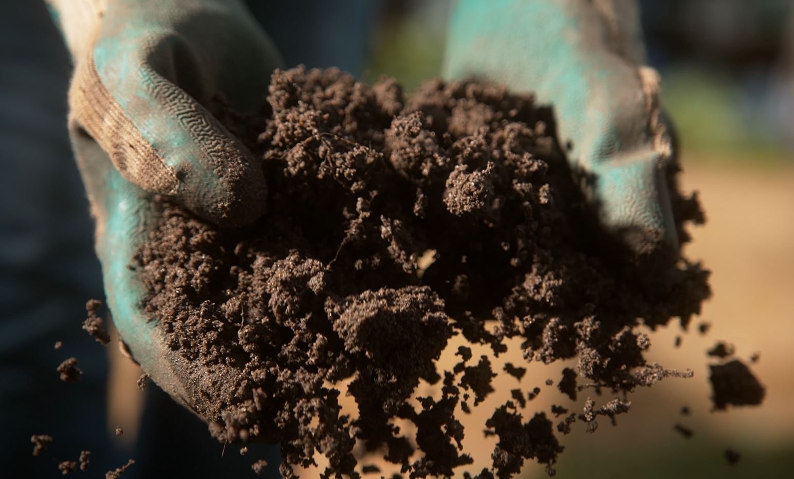 Compost