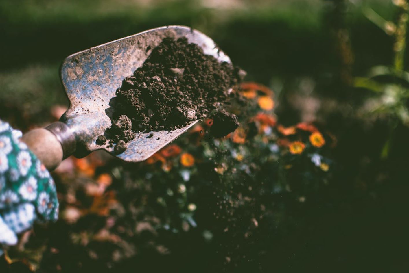 Compost xardín