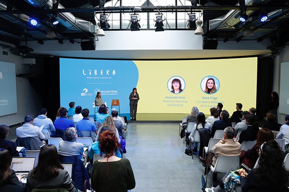 Imagen Proyecto Libera_Presentación memoria 2024