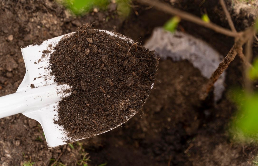 Compost_Freepik