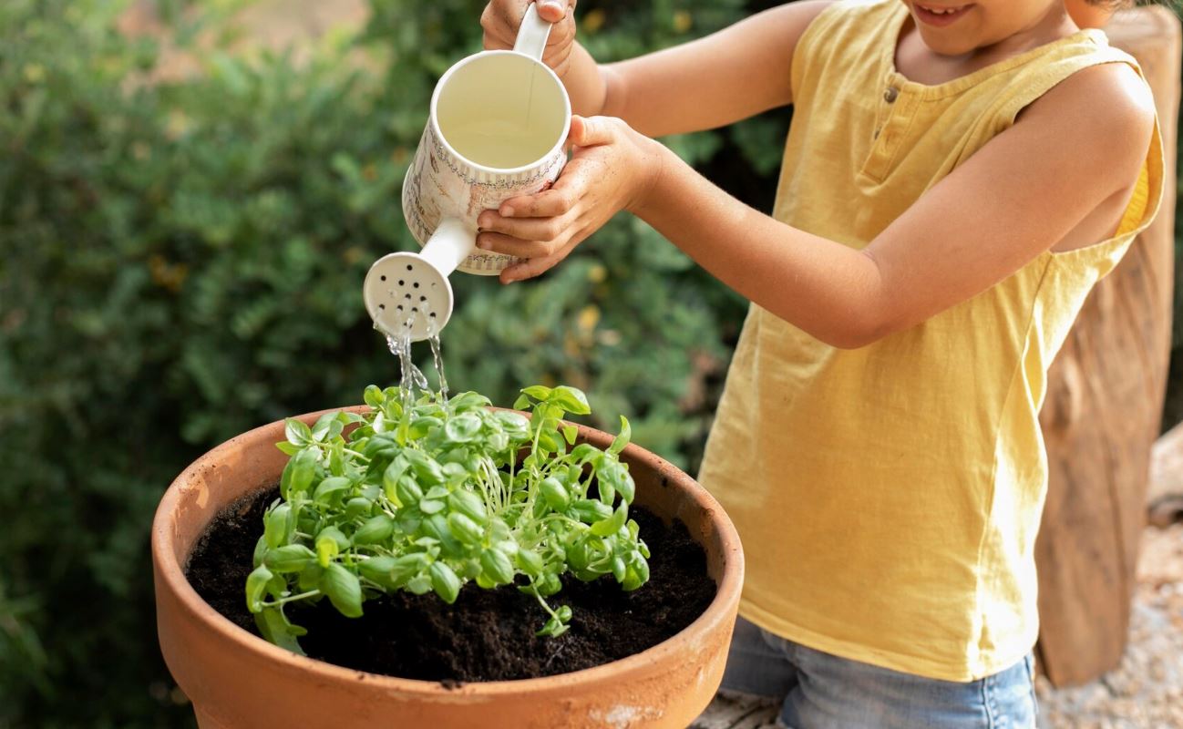 Compost planta_Freepik
