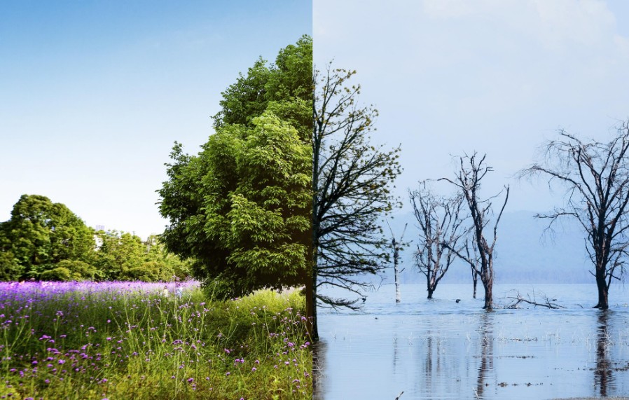 Cambio climático_Freepik