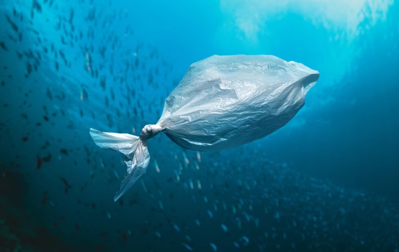 Bolsa plástica en fondo marino