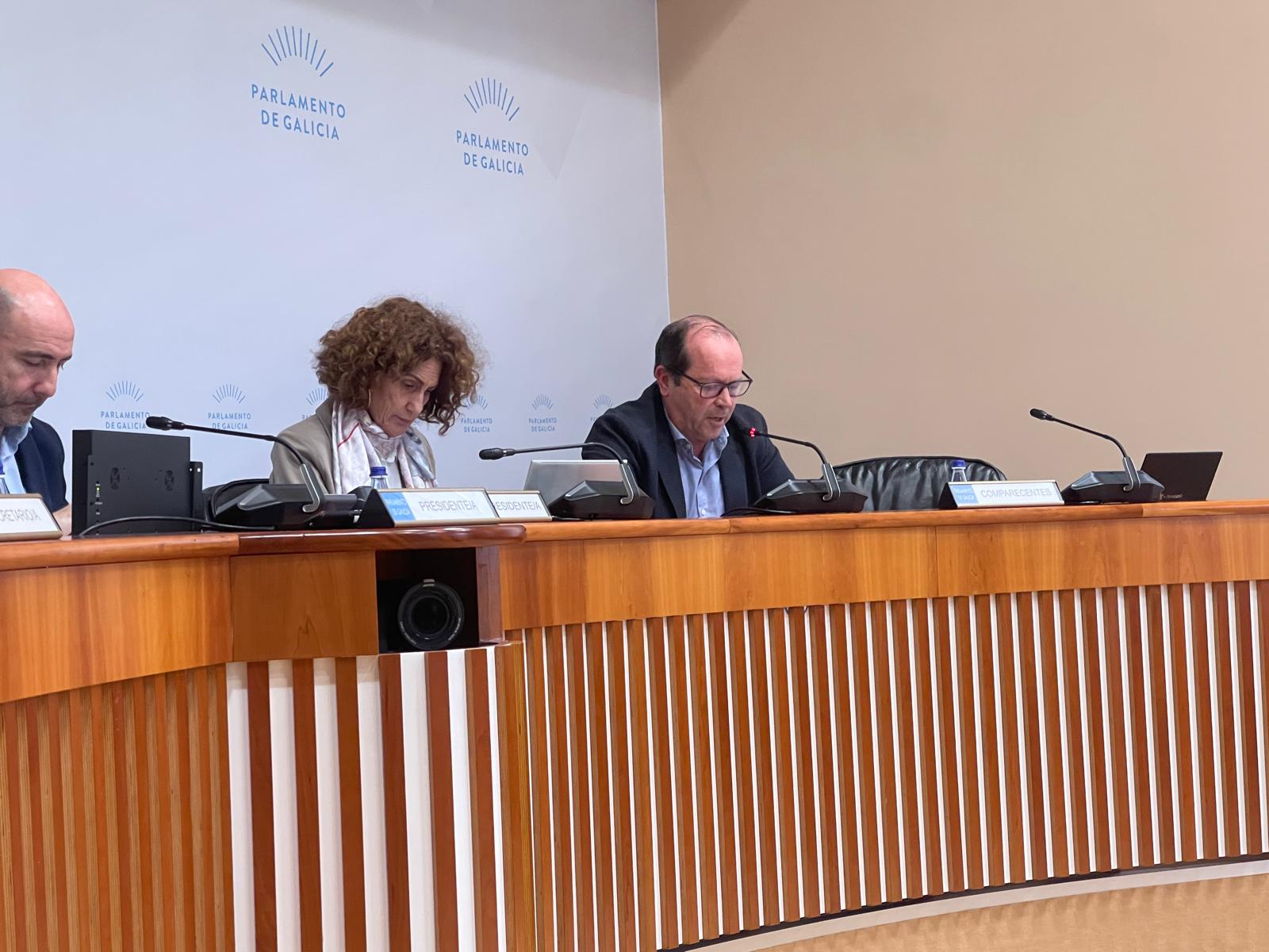 Momento de la comparecencia parlamentaria de Javier Domínguez Lino