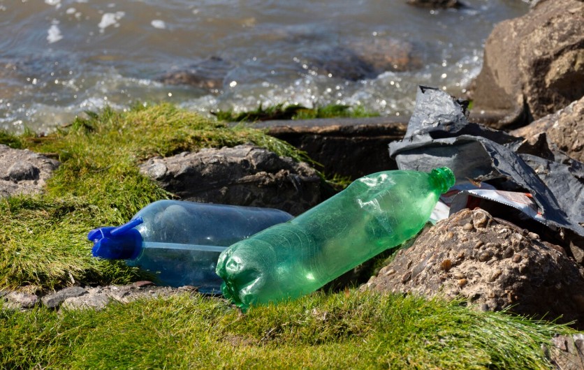 Botella plástica abandonada en el entorno_Freepik