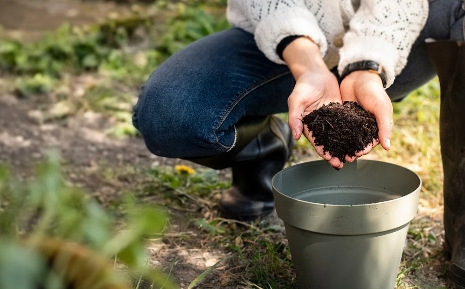 Compost_Pixabay