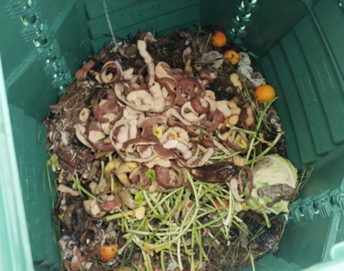 Restos orgánicos en compostador