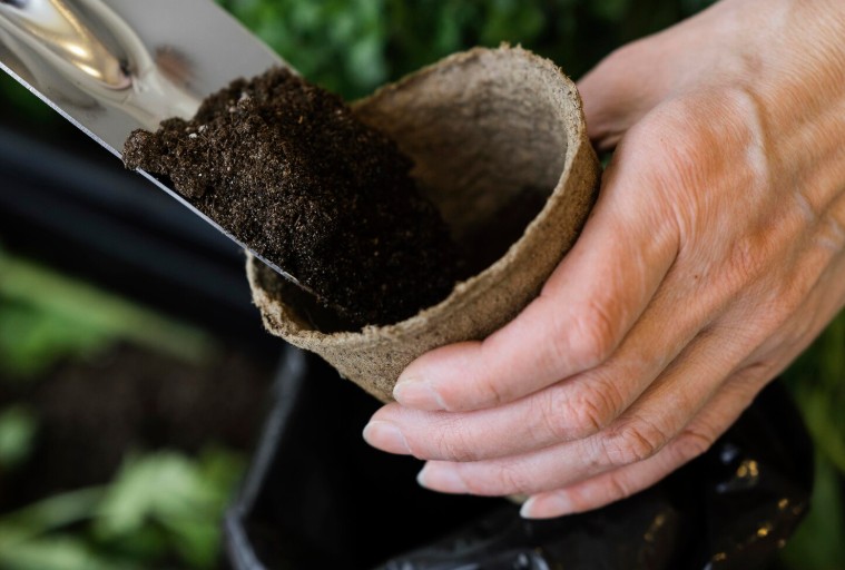 Aplicando compost