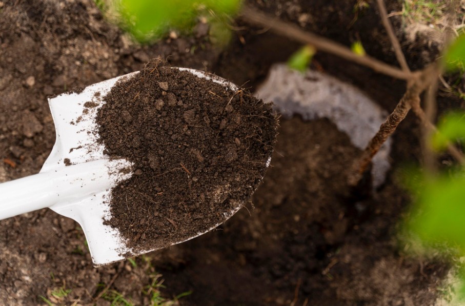 Compost