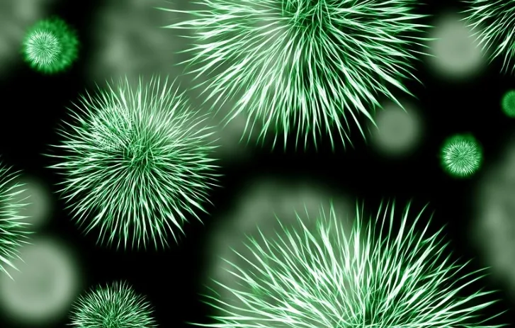 Un fabricante español de bioplásticos, entre los finalistas del Premio Green Alley Award