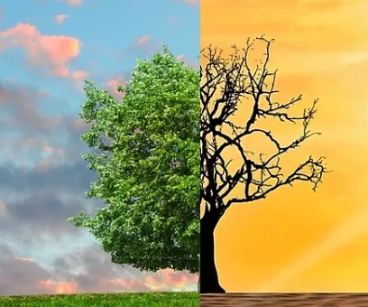 La contaminación del aire y por residuos plásticos, entre lo más leído en ONU Medio Ambiente