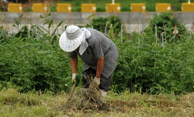 Las mujeres rurales desempeñan un papel crucial en el desarrollo sostenible