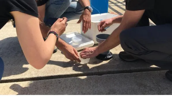 El proyecto Libera aborda un estudio piloto para la caracterización de microplásticos en ríos