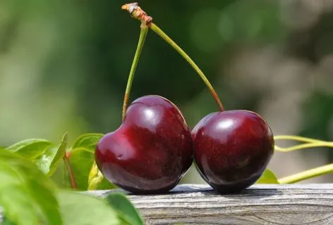 Aumentan en Vimianzo y Malpica las familias interesadas en la autogestión de la materia orgánica