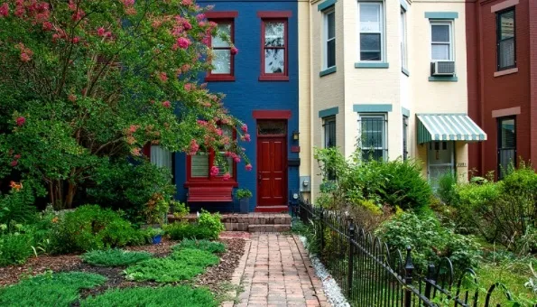 La FAO lanza “Ciudades verdes”, una iniciativa para mejorar la vida en los entornos urbanos
