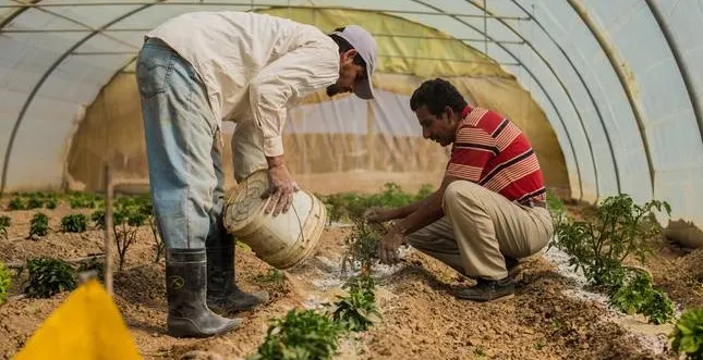 Los españoles, más concienciados con el desperdicio alimentario durante la Navidad