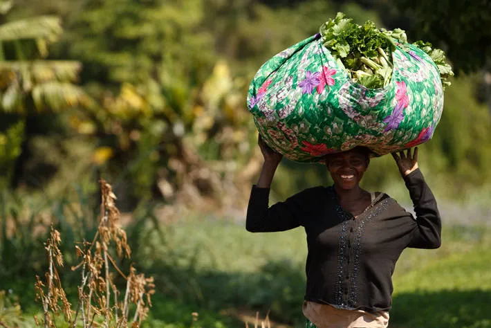El mundo desperdicia el 17% de los alimentos que produce mientras 811 millones de personas pasan hambre