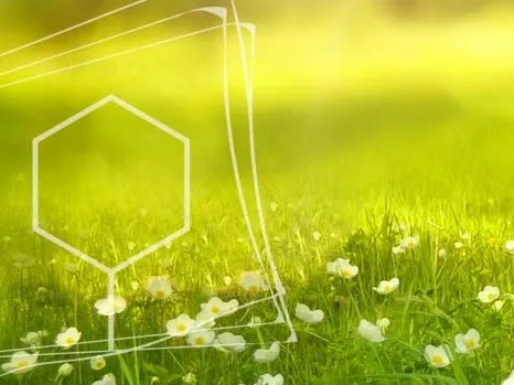 La USC y la empresa CVAN organizan un nuevo Workshpos enmarcado en el proyecto europeo Res2ValHum