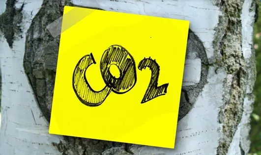 El reciclado de envases permitió a la industria cárnica ahorrar cerca de 49.000 toneladas de CO2 en 2021 	