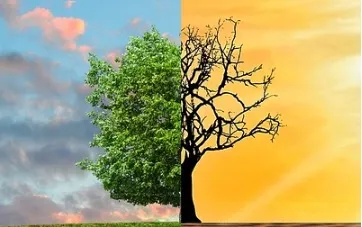 El 55% de los españoles afirma que la política ambiental y social de las marcas condiciona su compra