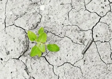 Abierto el plazo para presentación de candidaturas a los premios ONU a la Acción Climática Mundial