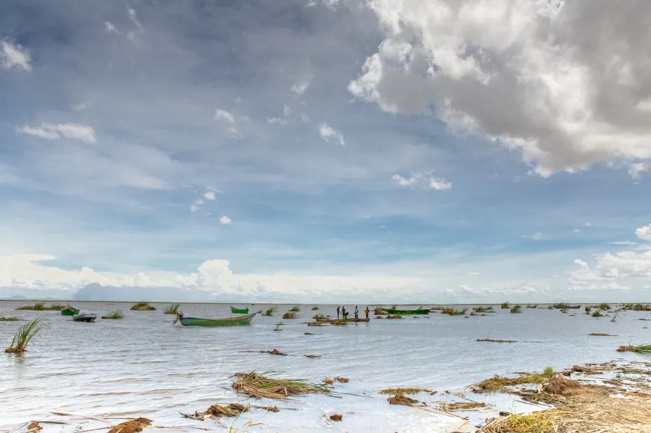La moda azul a partir de la piel de pescado desechada, una oportunidad para la sostenibilidad