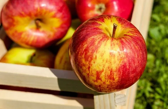 Un informe de la CE apunta a la necesidad de garantizar la sostenibilidad del sistema alimentario