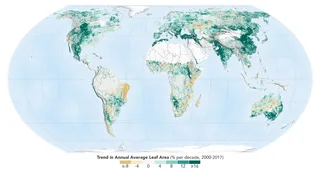 La Tierra aumenta su verdor según un estudio de monitorización ecológica de la NASA