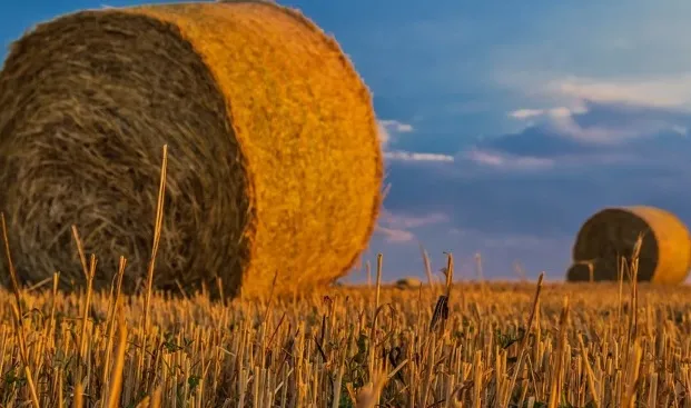 "Galicia cuenta con una red de 1.200 puntos para la recogida y gestión de los envases agrarios"