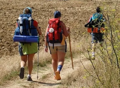 Llamamiento para que la Ruta Jacobea sea más respetuosa que nunca con el medio ambiente