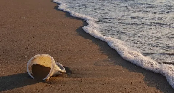 Nueva alianza entre ONU Medio Ambiente y Scouts para luchar contra la basura marina