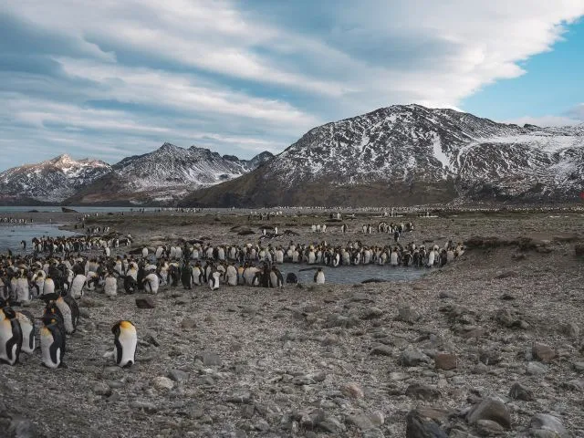Un nuevo informe de la ONU alerta sobre la preocupante pérdida de biodiversidad en el mundo