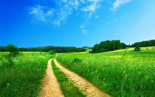 "GO for SDGs", nueva iniciativa europea para avanzar hacia economías verdes