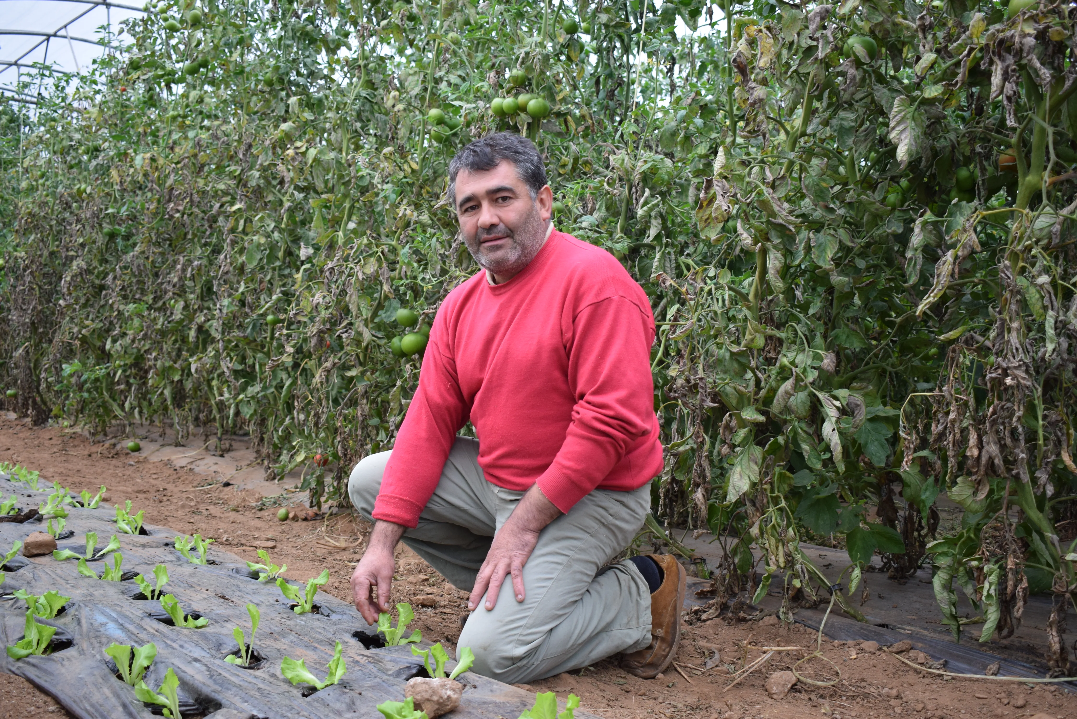 “Consumir ecológico significa compromiso con la sostenibilidad”