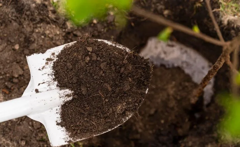 Pala con compost_Freepik