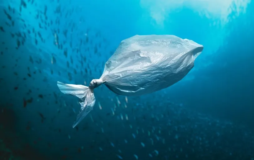 Bolsa plástica en fondo marino