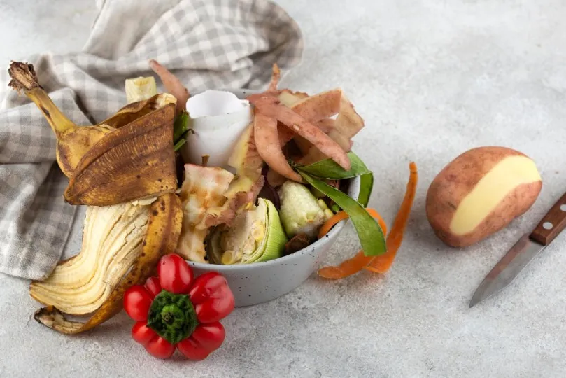 Restos de alimentos_Magnific