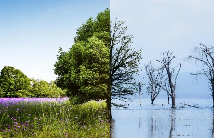 Cambio climático