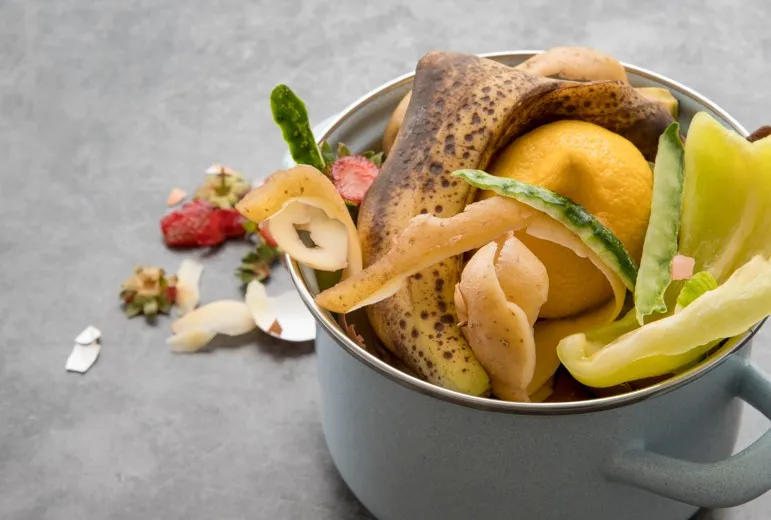 Restos de alimentos
